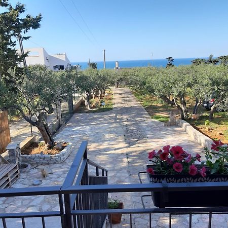 Villa L'Orizzonte Di Calabianca Castellammare del Golfo Luaran gambar