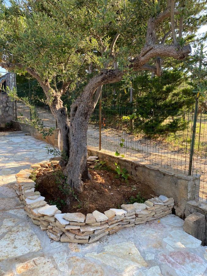 Villa L'Orizzonte Di Calabianca Castellammare del Golfo Luaran gambar