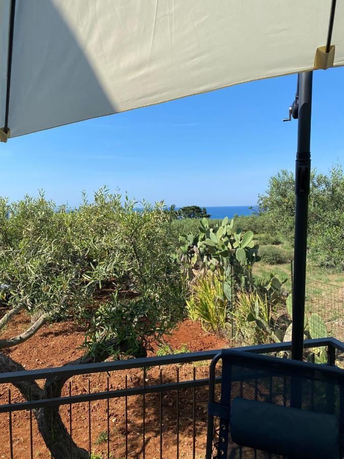 Villa L'Orizzonte Di Calabianca Castellammare del Golfo Luaran gambar