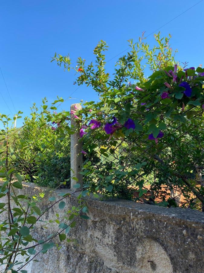 Villa L'Orizzonte Di Calabianca Castellammare del Golfo Luaran gambar