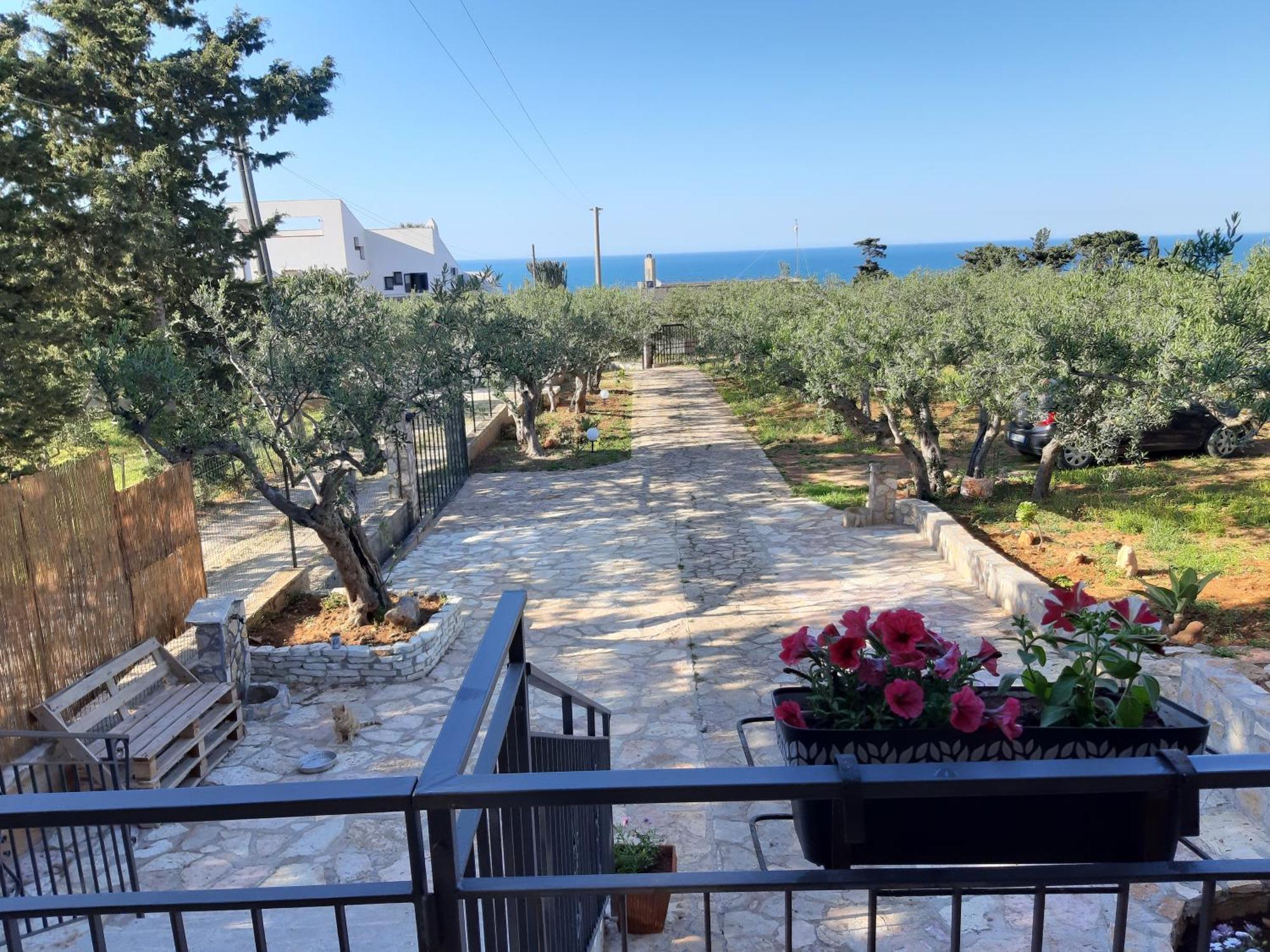 Villa L'Orizzonte Di Calabianca Castellammare del Golfo Luaran gambar