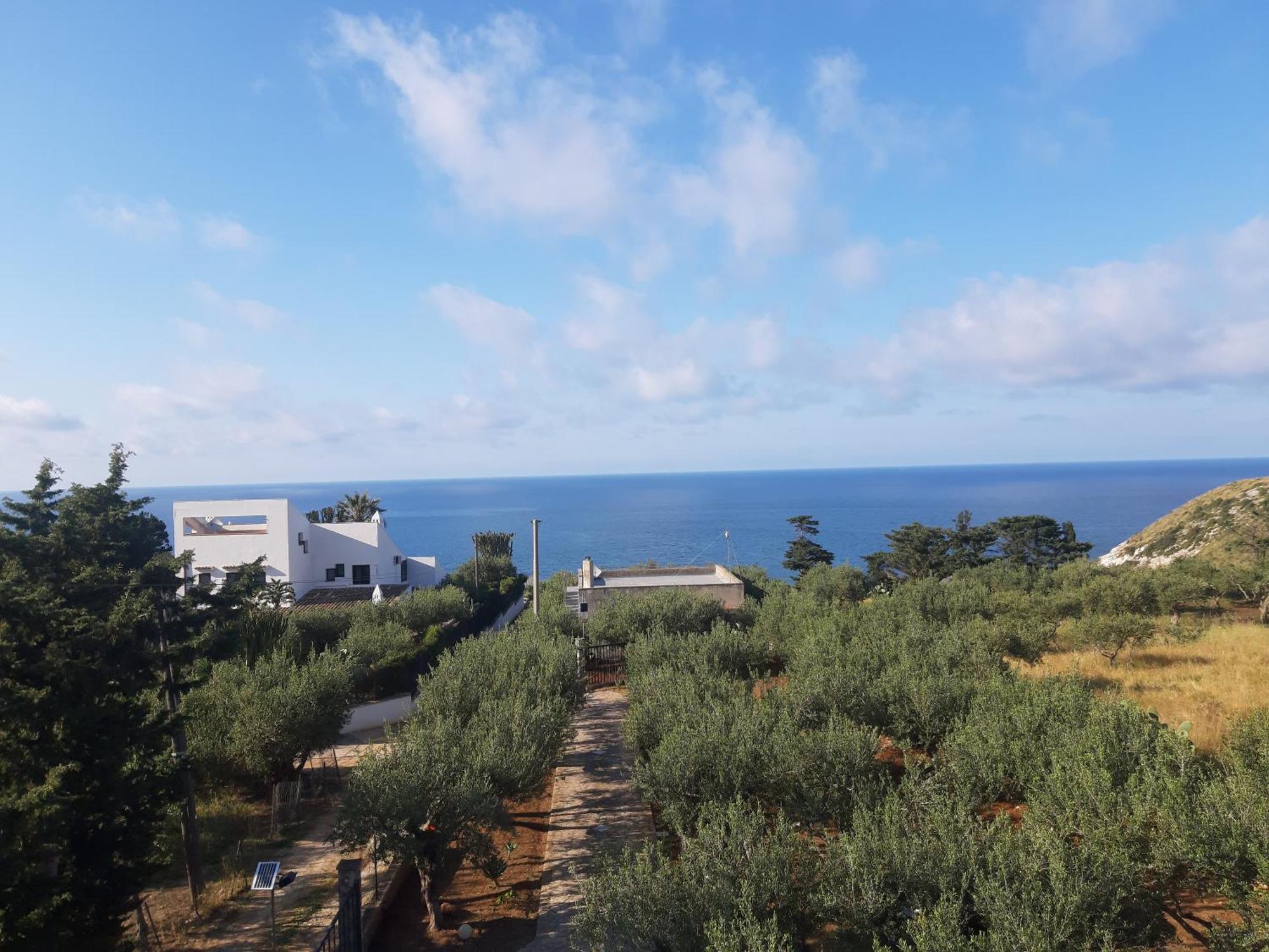 Villa L'Orizzonte Di Calabianca Castellammare del Golfo Luaran gambar