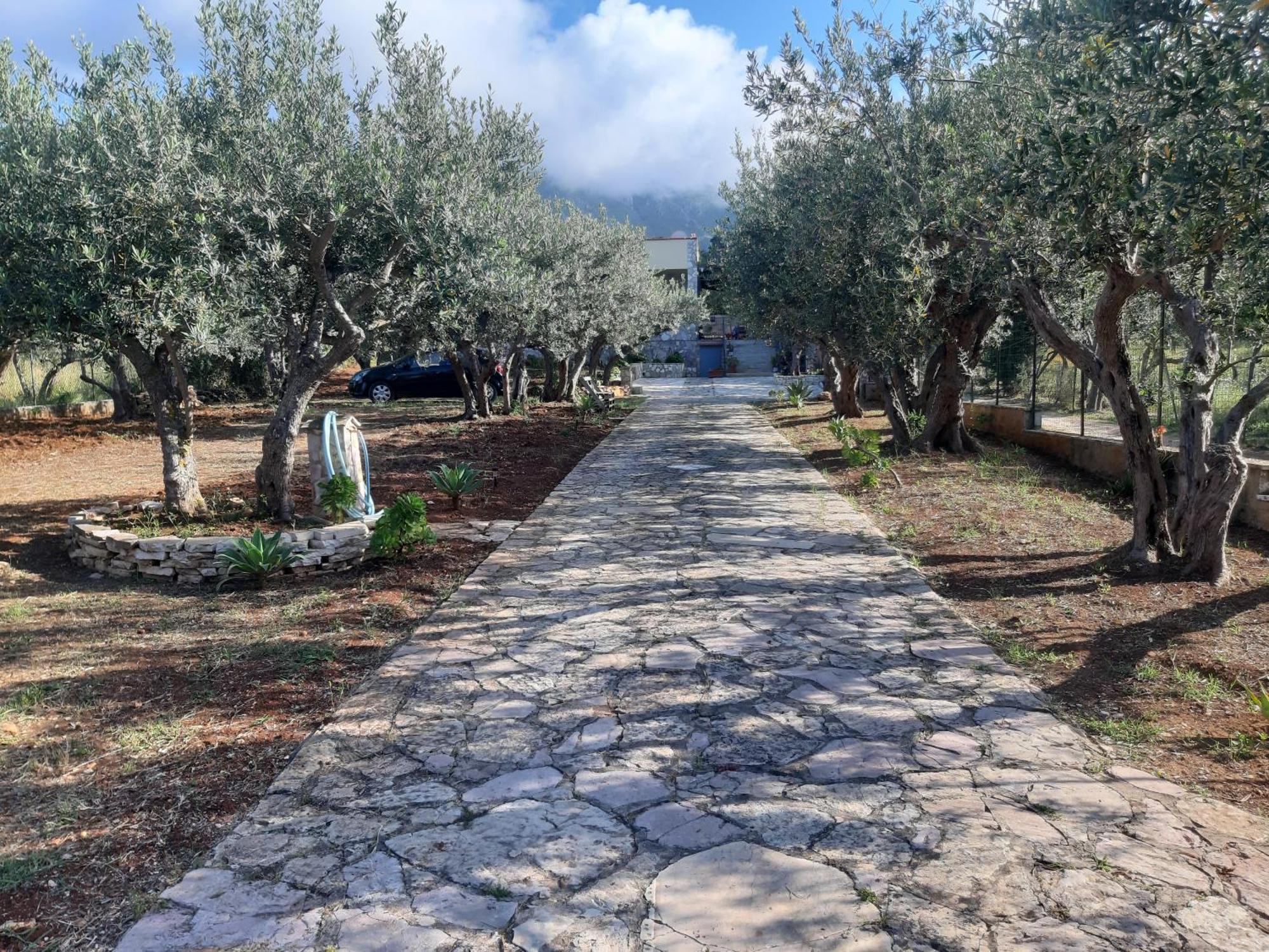 Villa L'Orizzonte Di Calabianca Castellammare del Golfo Luaran gambar