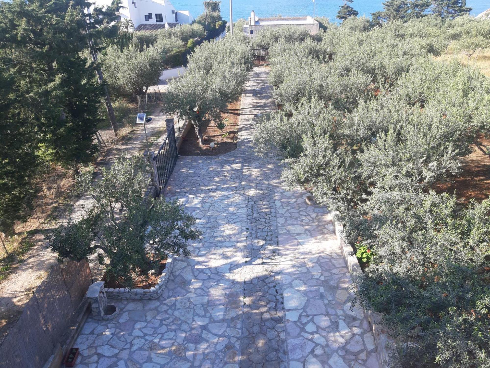 Villa L'Orizzonte Di Calabianca Castellammare del Golfo Luaran gambar